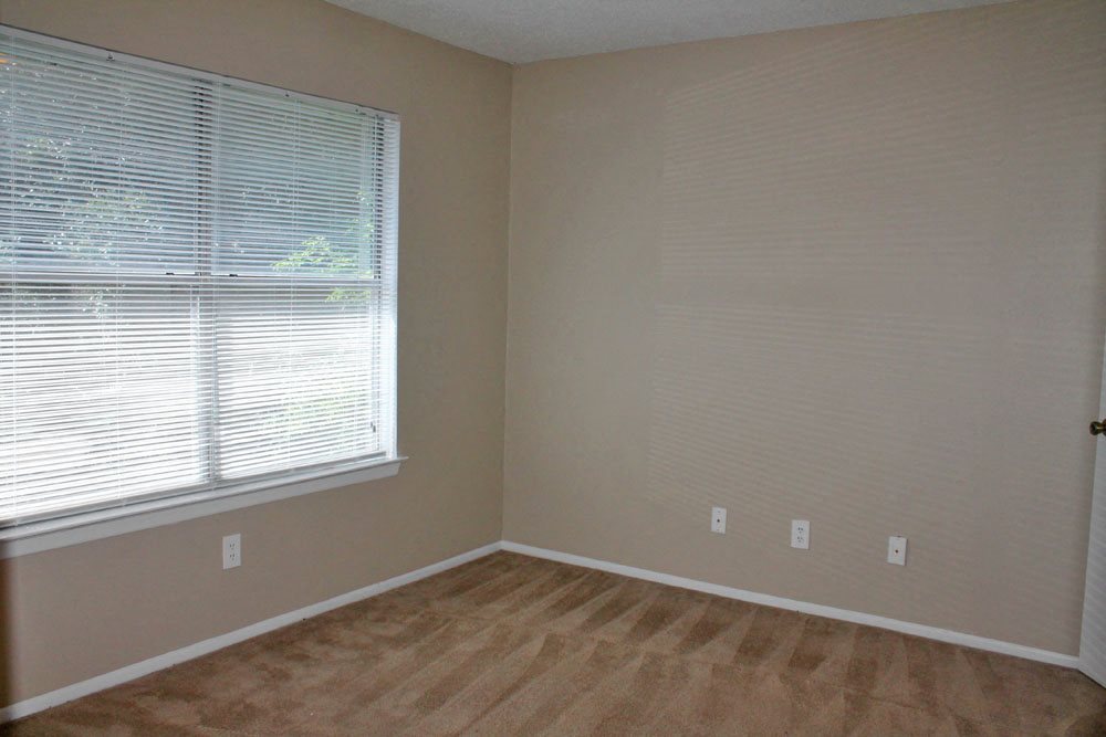 Gallery Photo 11